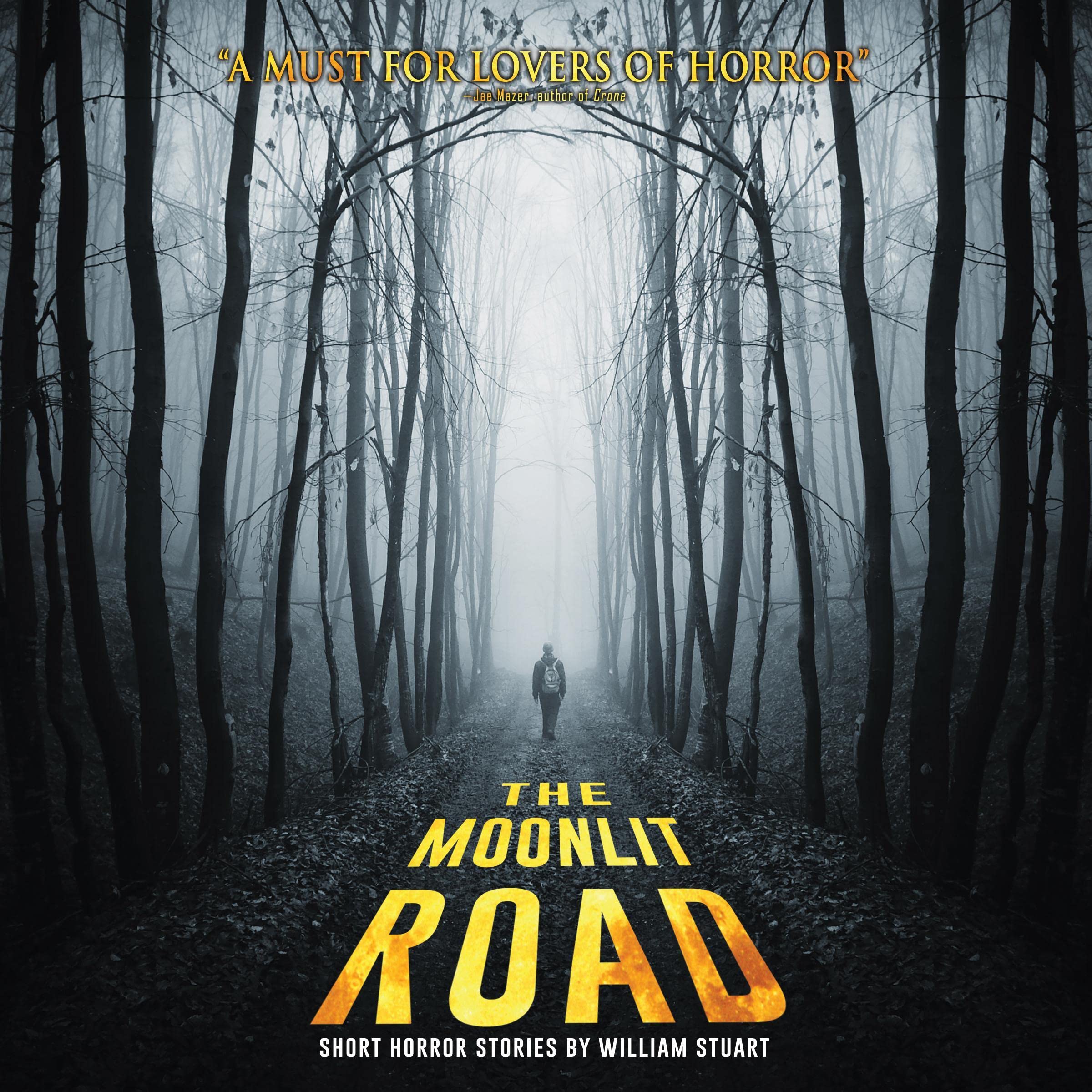 The Moonlit Road