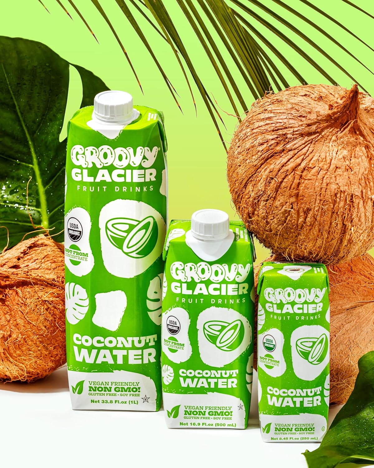 Groovy Glacier Coconut Water - Premium Quality Coconut Water - 16.9 Fl Oz - Pack of 12