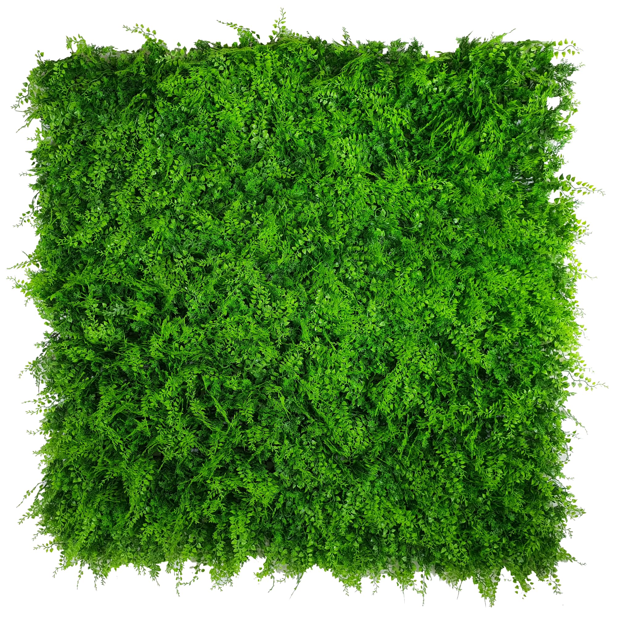Designer Plants Lush Fern Artificial Green Grass Wall Panels for Interior Wall Decor - Fence Covering Privacy – Fake Living Walls - Fake Grass Décor - Commercial Grade UV Resistant 40