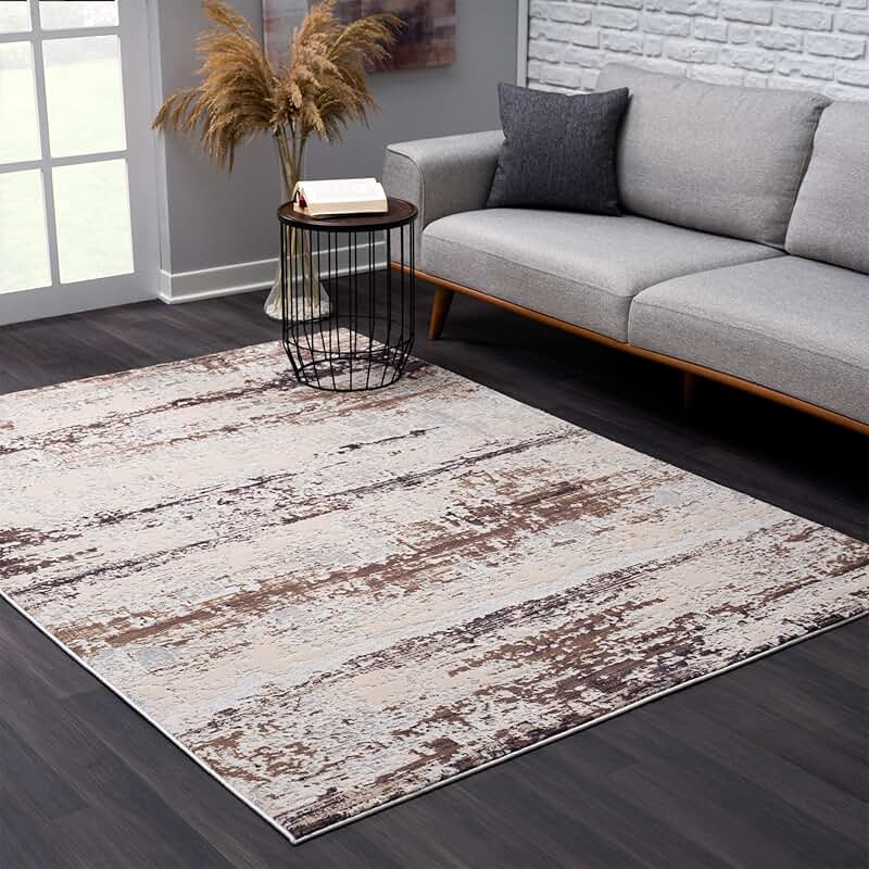 Amazon.ca area rug 2x4