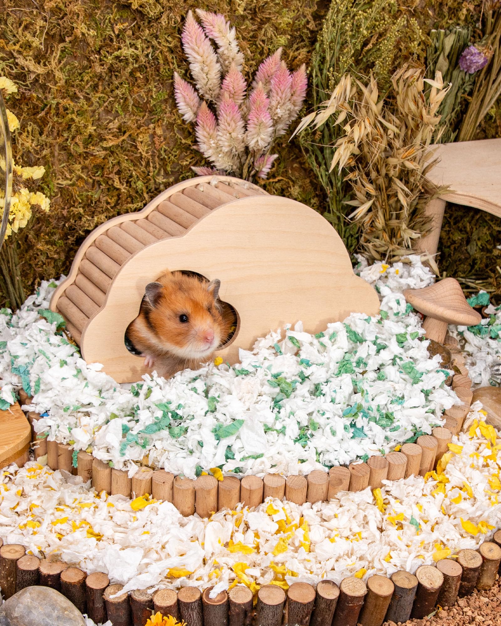 Pet Groomers Pet Stores Petsmart Argentia Hours Hamster Cage Accessories  Niteangel 65L Fluffy Shavings For Hamsters, image size:1600x2000