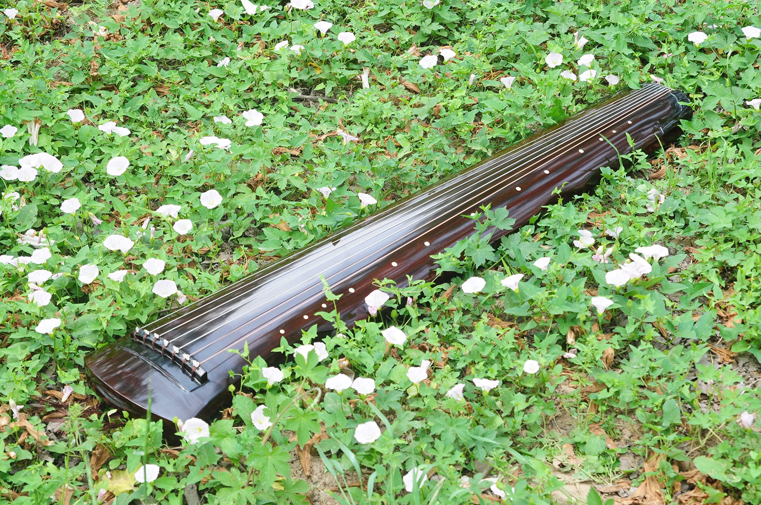 LANDTOM Einsteiger Paulownia-Holz Fuxi-Stil Guqin für Anfänger (braun)