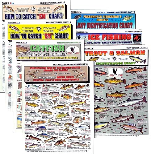 Freshwater Fish Identification Chart Set - Waterproof Quick Reference Fishing