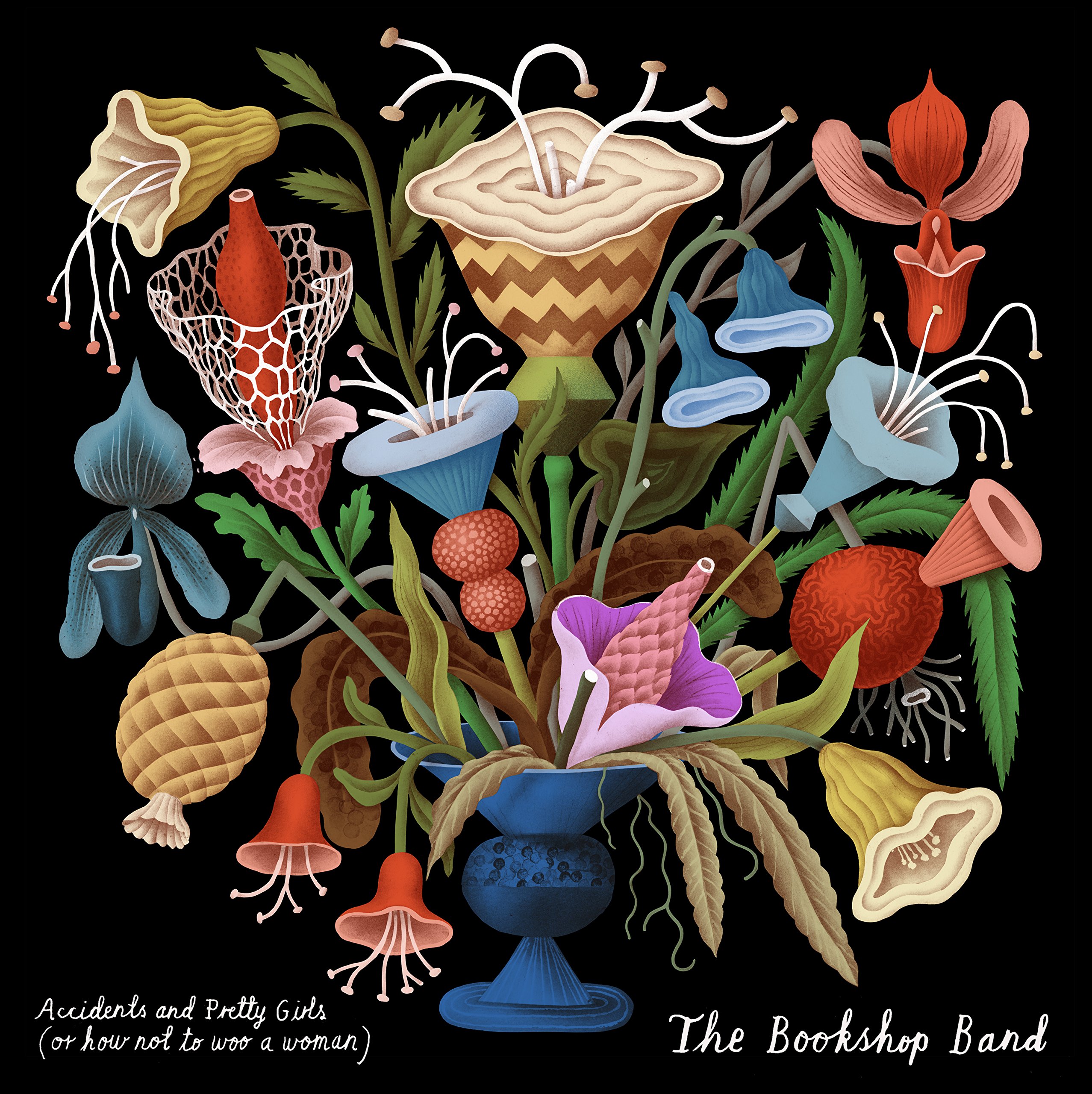 Accidents And Pretty Girls (Or How Not To Woo A Woman)