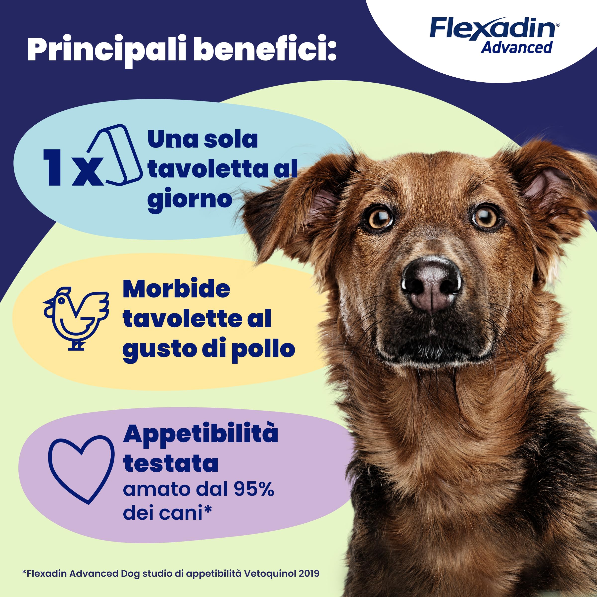 Vetoquinol Flexadin Advanced Cane | Mangime complementare per Cani | Ideale per il supporto delle articolazioni anche in corso di Osteoartrite | 60 Tavolette Appetibili, 1 tavoletta al giorno