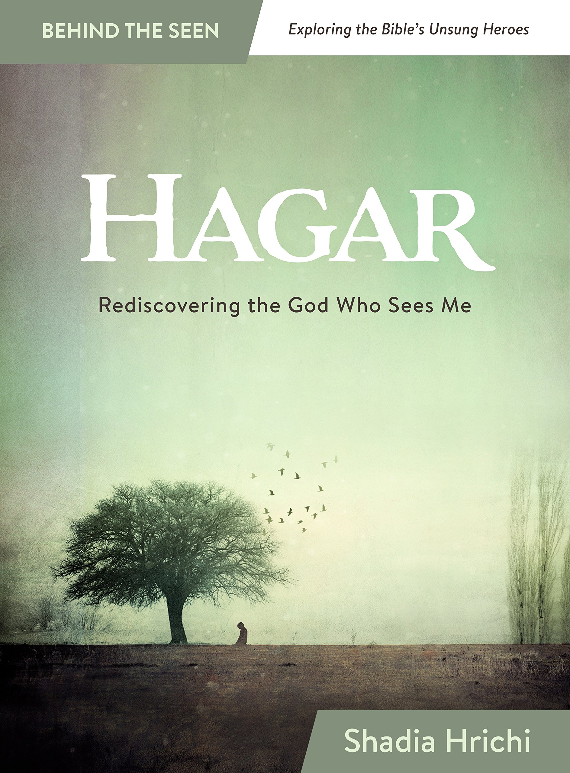 Hagar: Rediscovering the God Who Sees Me (Bible Study) (Behind the Seen: Exploring the Bible's Unsung Heroes)