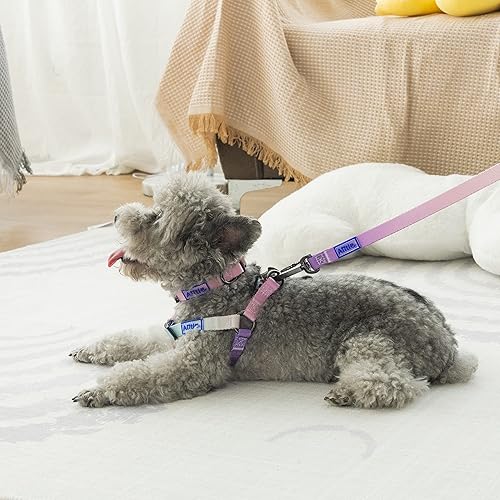 Miniatura 6 de AIITLE Easy Walk - Juego de arnés y correa para perro, collar básico ajustable, correa resistente, arnés halter sin tirones, entrenamiento al aire