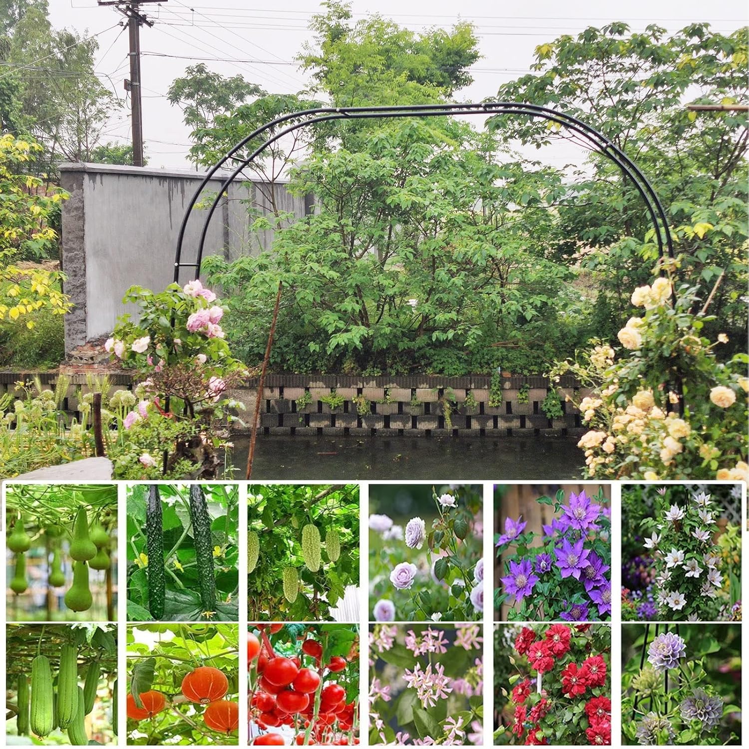 Metal Rose Arch, Decor Garden Arches, Wedding Archway Trellis, Outdoor Pergola Arbor for Plants Climbing Aids, with Base Weather-Resistant Frame (Color : White, Size : 120x220x25cm)