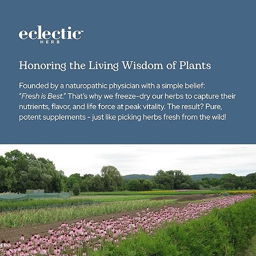 Miniatura 8 de Eclectic Institute Rosemary Cog Fd 90