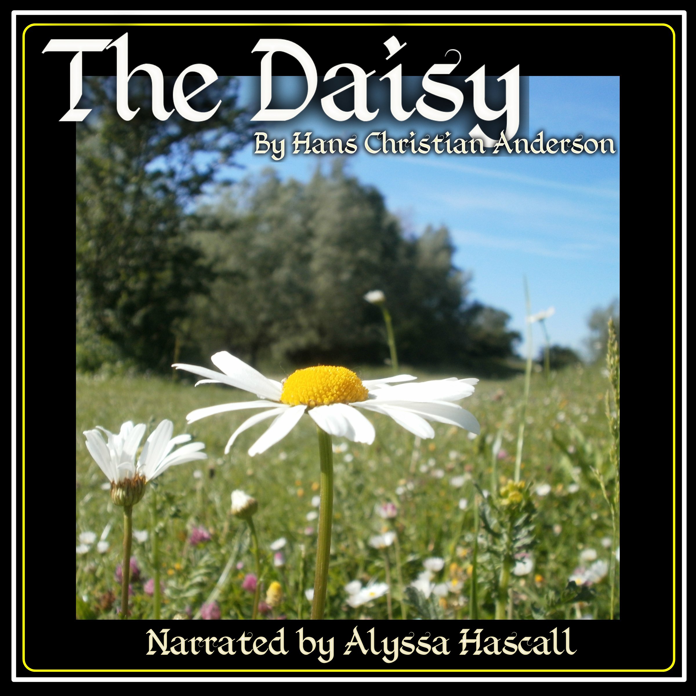 Cover art for The Daisy