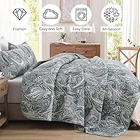 Vista 119 de DJY Juego de edredón de cachemira marrón, tamaño Queen, juego de colcha bohemia de 3 piezas, ropa de cama de microfibra suave y ligera con estampado