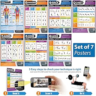 Sponsored Ad – Gym and Muscle Building Workout Posters - Set of 7 - EXTRA LARGE - A1 (841mm x 594mm) - Laminated - Exercise & Fitness Charts - Includes Video Training Support by Posterfit