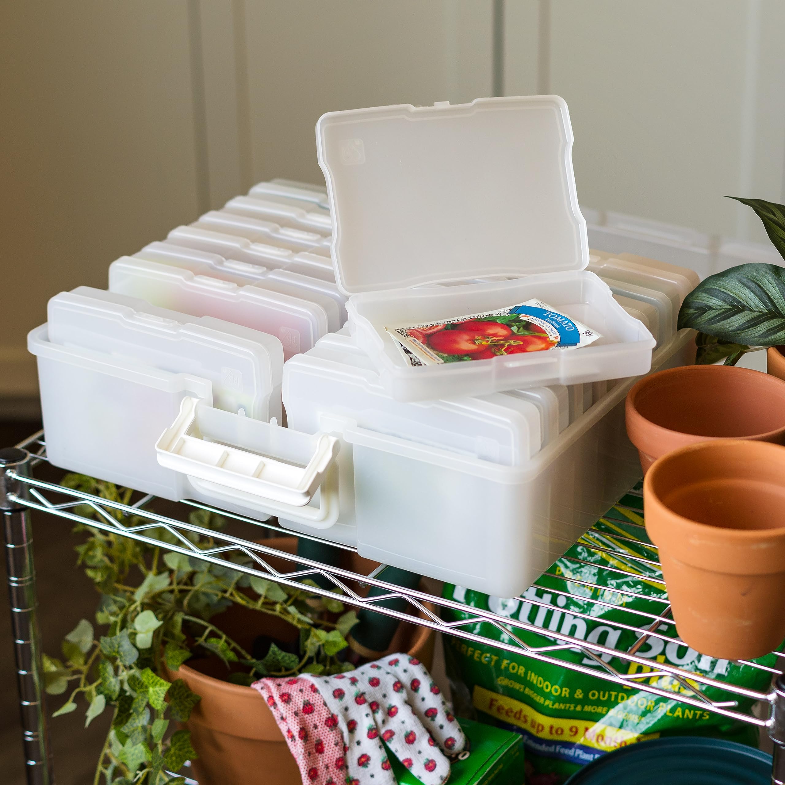 IRIS USA - Caja de almacenamiento de fotos de 10 x 15 cm, 2 unidades, contenedor principal con 16 cajas de organización para fotos, manualidades, álbumes de recortes, papelería, protección y