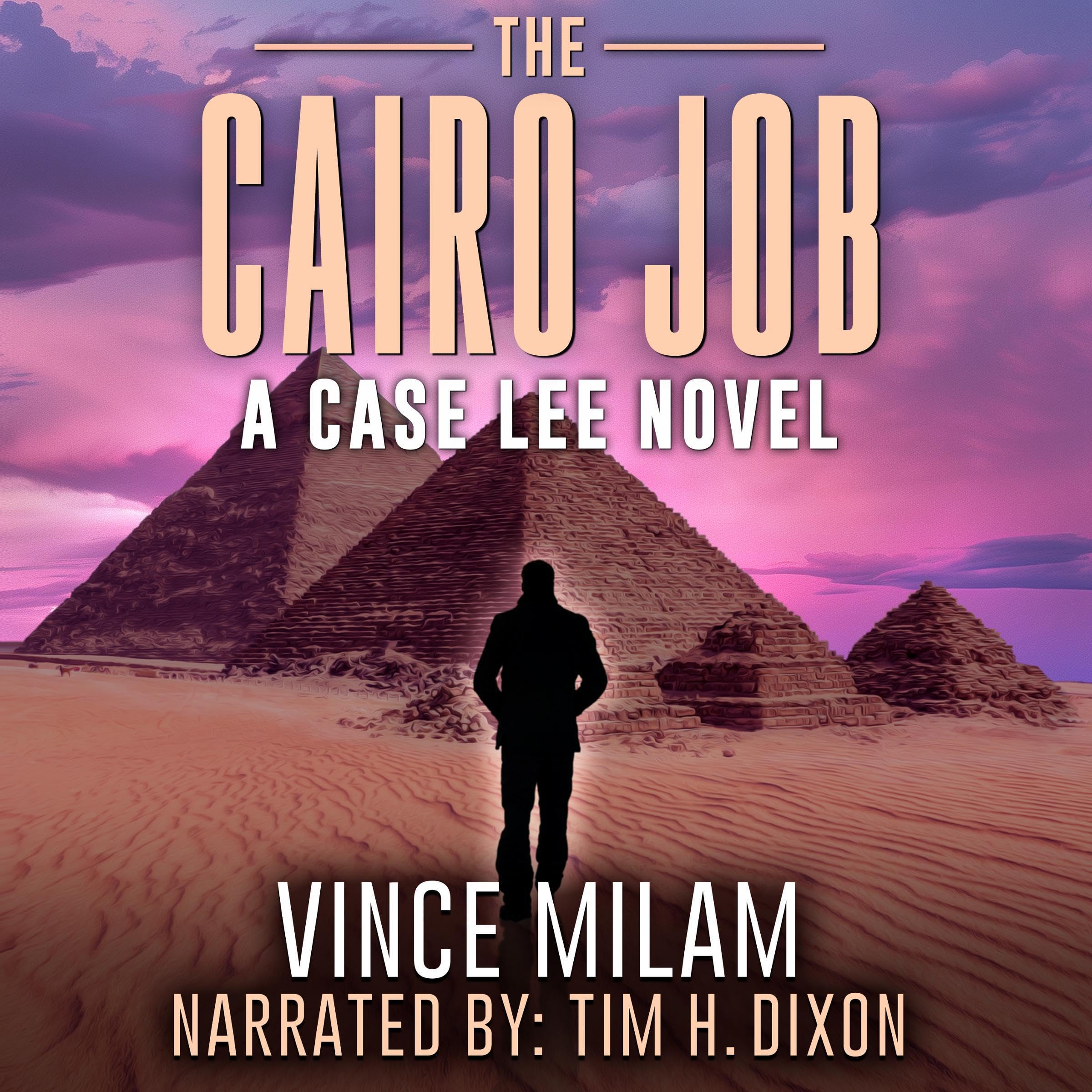 Cover art for The Cairo Job