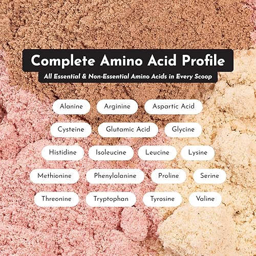 Miniatura 3 de JUST INGREDIENTS - Proteína en polvo cremosa de mantequilla de cacahuete y chocolate  30 porciones  Mezcla con suero de leche alimentado con pasto,