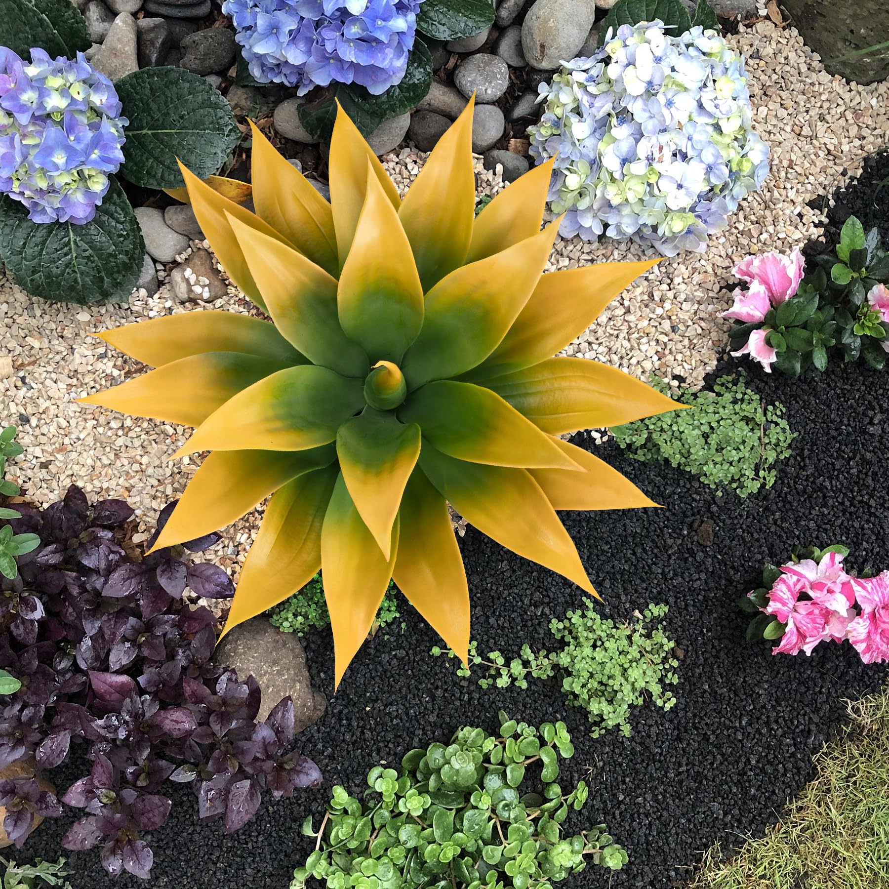 Yellow Agave Plants - 2 Pack, UV Resistant -7