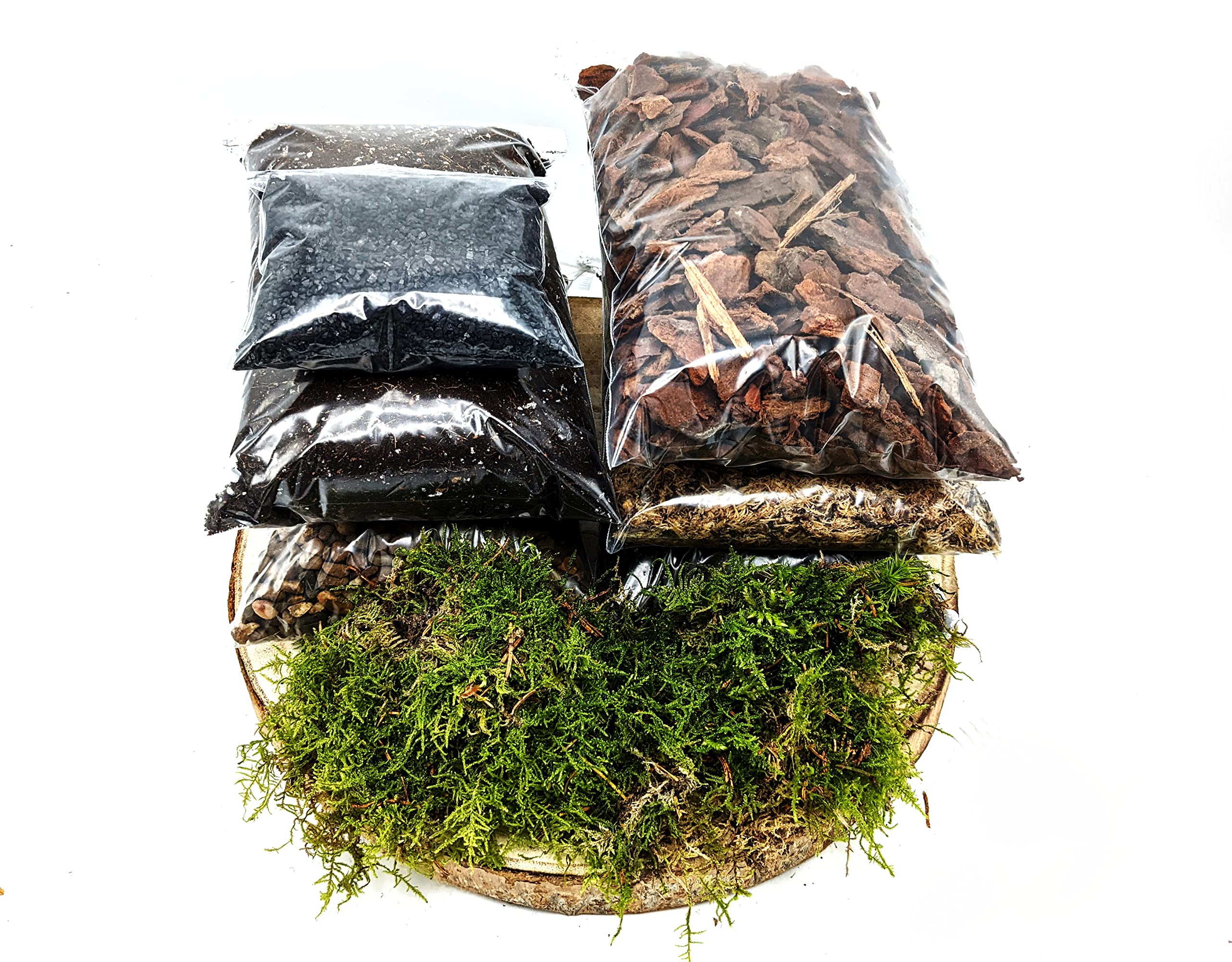 DIY Xtra Large Terrarium Starter Kit - Closed NO PLANTS