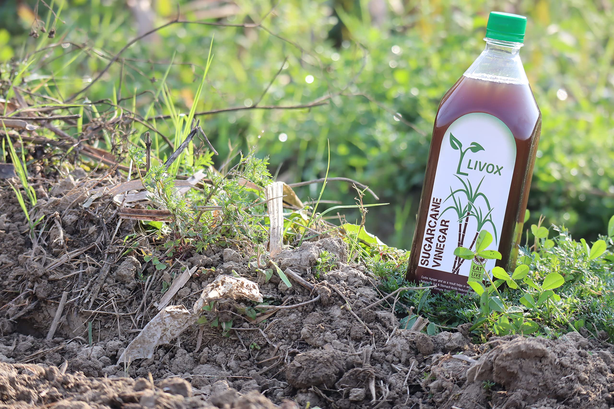 LIVOX Organic 1 Litre Sugar Cane Vinegar Sanne ka Sirka Made in Village Eat Natural Live Healthy - Image 2 thumbnail
