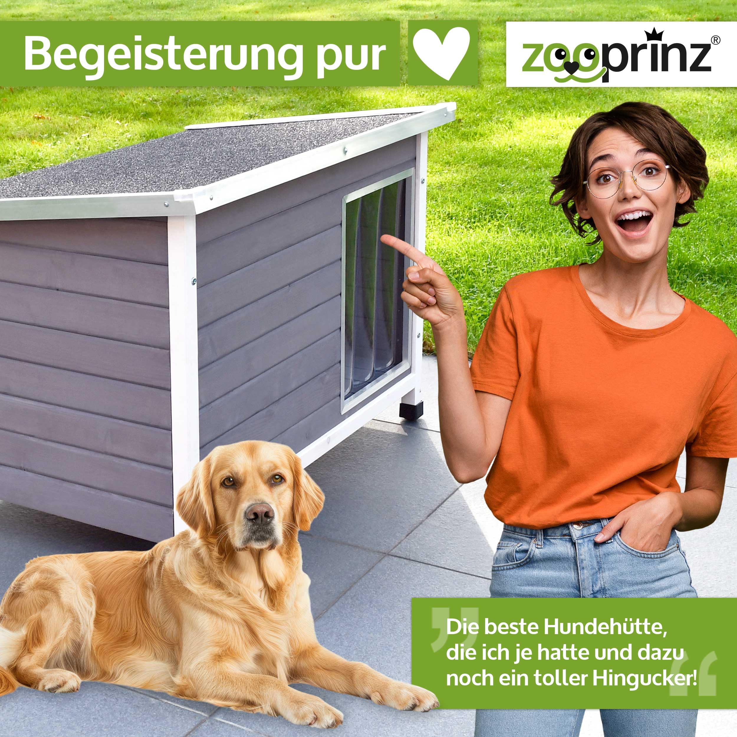 zooprinz Exklusive Hundehütte Jacky – aus wetterfestem & massivem Holz mit Metallrahmen, Dach zum Öffnen, Lamellentür & Kunststofffüßen – Hundehütte für Indoor und Outdoor (Hellgrau, XL)