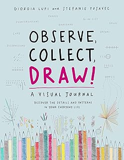 Observe Collect Draw Visual Journal