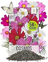Vista 15 de Seed Needs 1000+ semillas de flor de caléndula para plantar variedad Pink Surprise Caléndula officinális anual no transgénica Flores