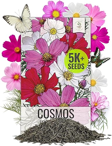 Miniatura 19 de Seed Needs Semillas de flor de luna para plantar flores blancas de verano prolíficas | 1 onza de semillas de vid Ipomoea Alba Las flores de luna