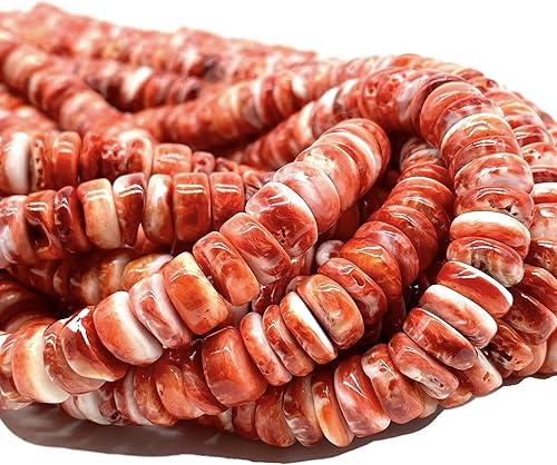 Miniatura 6 de ABCGEMS Gulf of California - Cuentas de concha de ostra espinosa rojo rubí  entre Baja California y México continental (parte blanca mínima) estilo