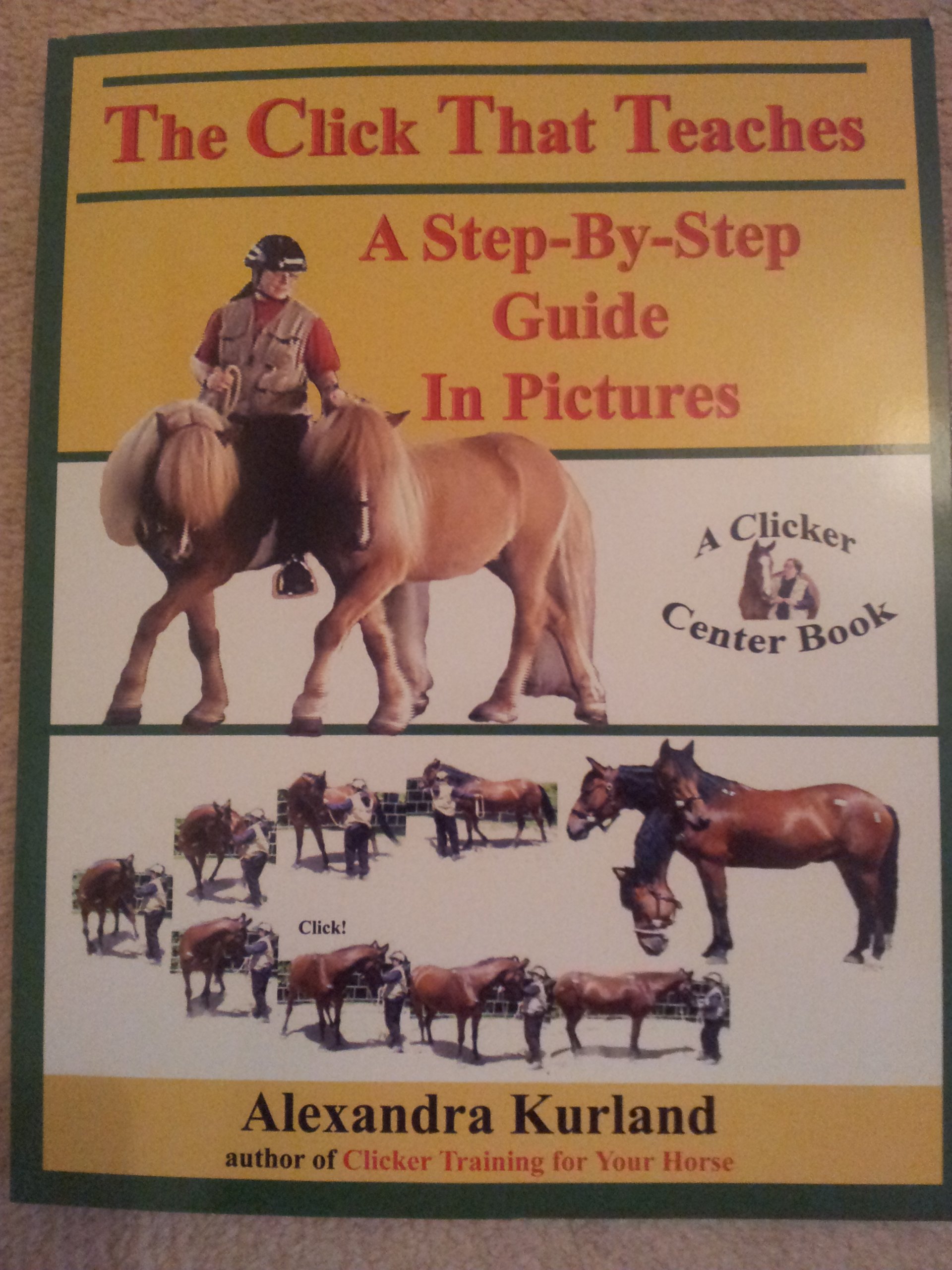 The Click That Teaches: A Step-By-Step Guide in Pictures Paperback – 30 December 2003