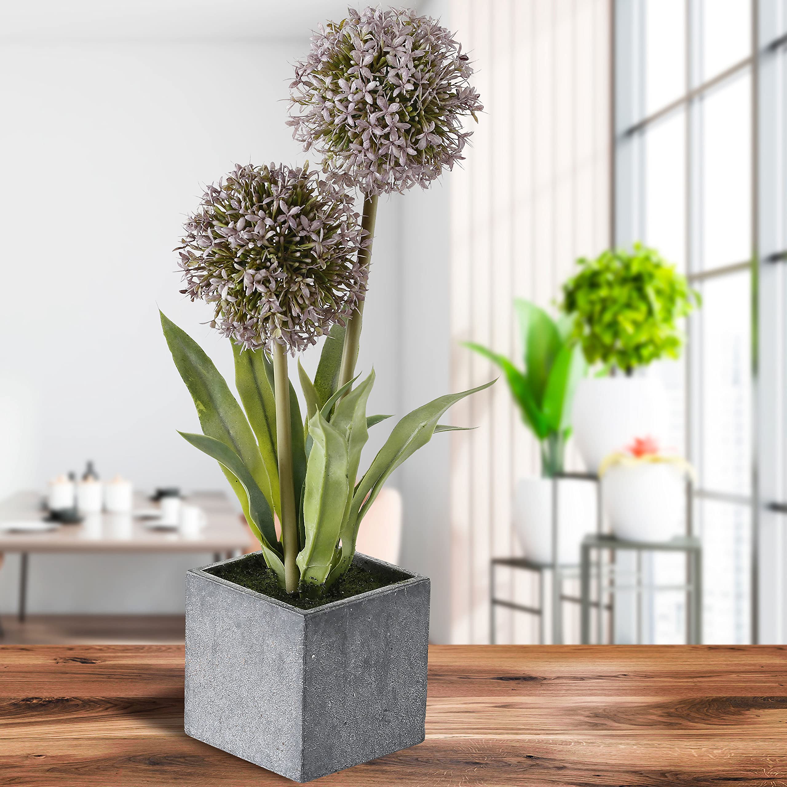 Amazon.de: Realistische Allium-Topfpflanze, blassviolette Globus-Blumen,  grauer Wrfelbehlter, grne Stiele und Bltter, 45 cm hoch, Kunststoff,  moderne Heimdekoration