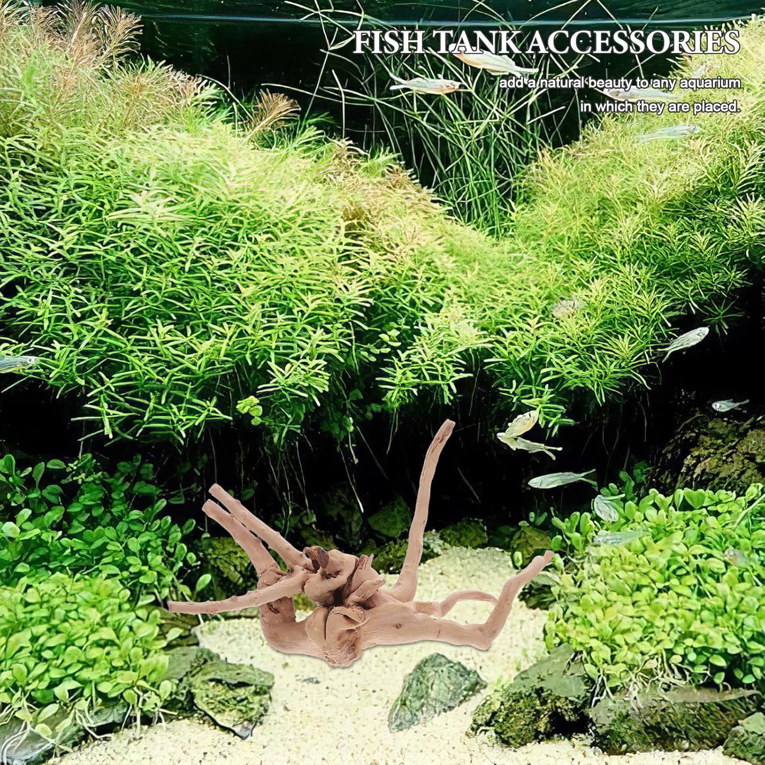 Kisangel 3pcs Aquarium Natural Driftwood Decor Wood Branches Fish Tank Driftwood Decoration Terrarium Wood for Freshwater Aquarium Centerpiece