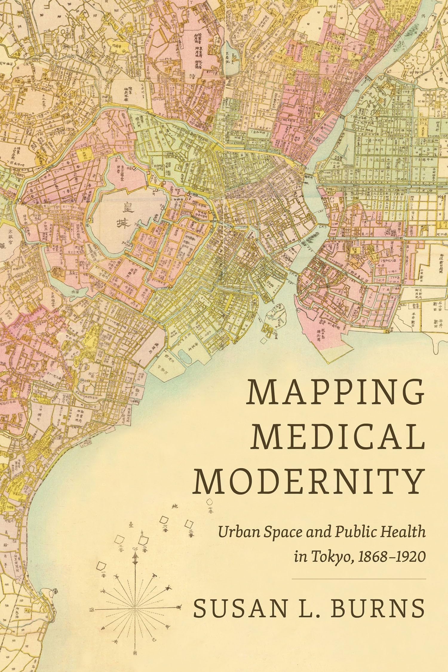 Mapping Medical Modernity: Urban Space and Public Health in Tokyo, 1868-1920 (Histories and Ecologies of Health)