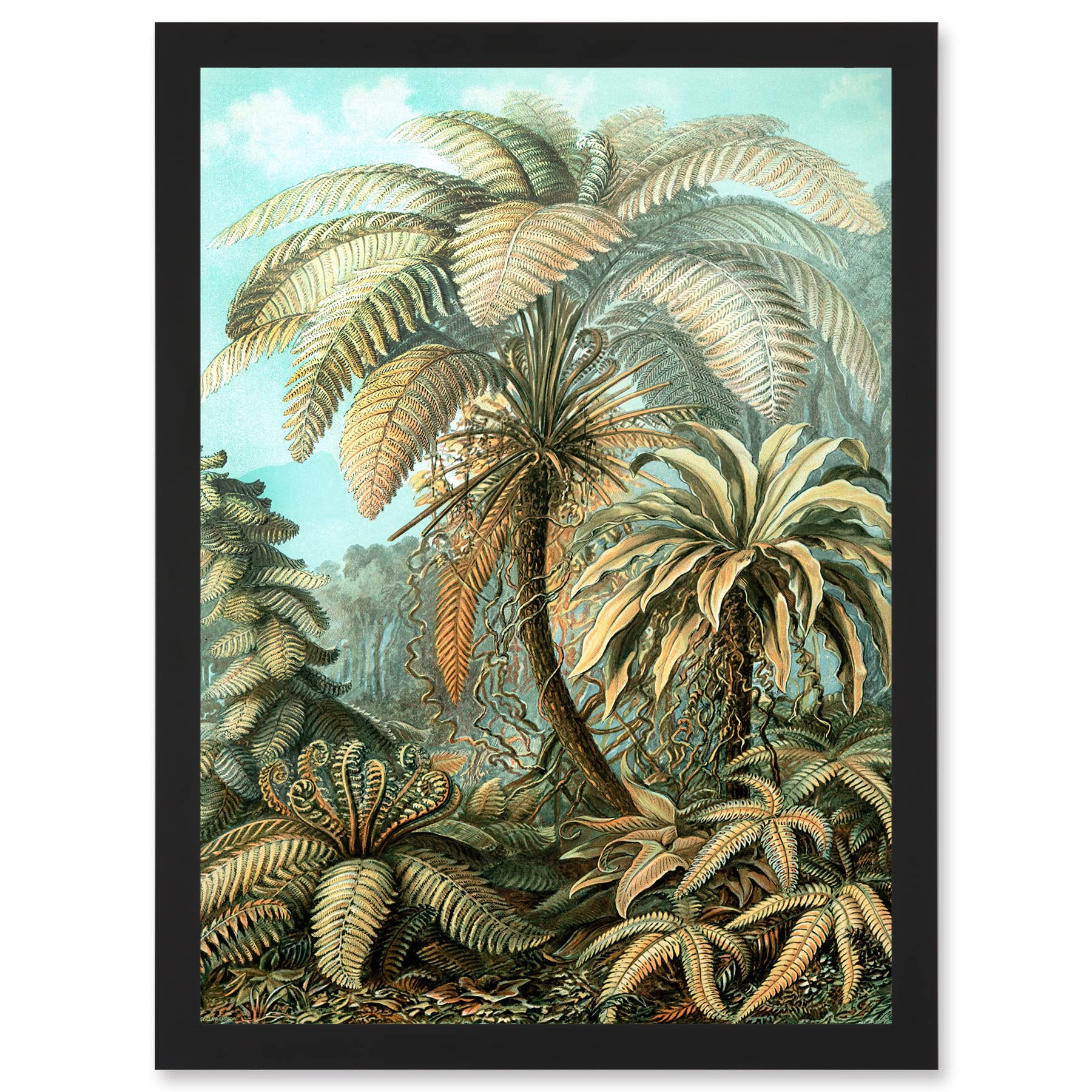 Artery8 Framed Art Print - Nature Biology Ferns Ernst Haeckel Botanical Vintage Artwork - A4 Size - Black Frame