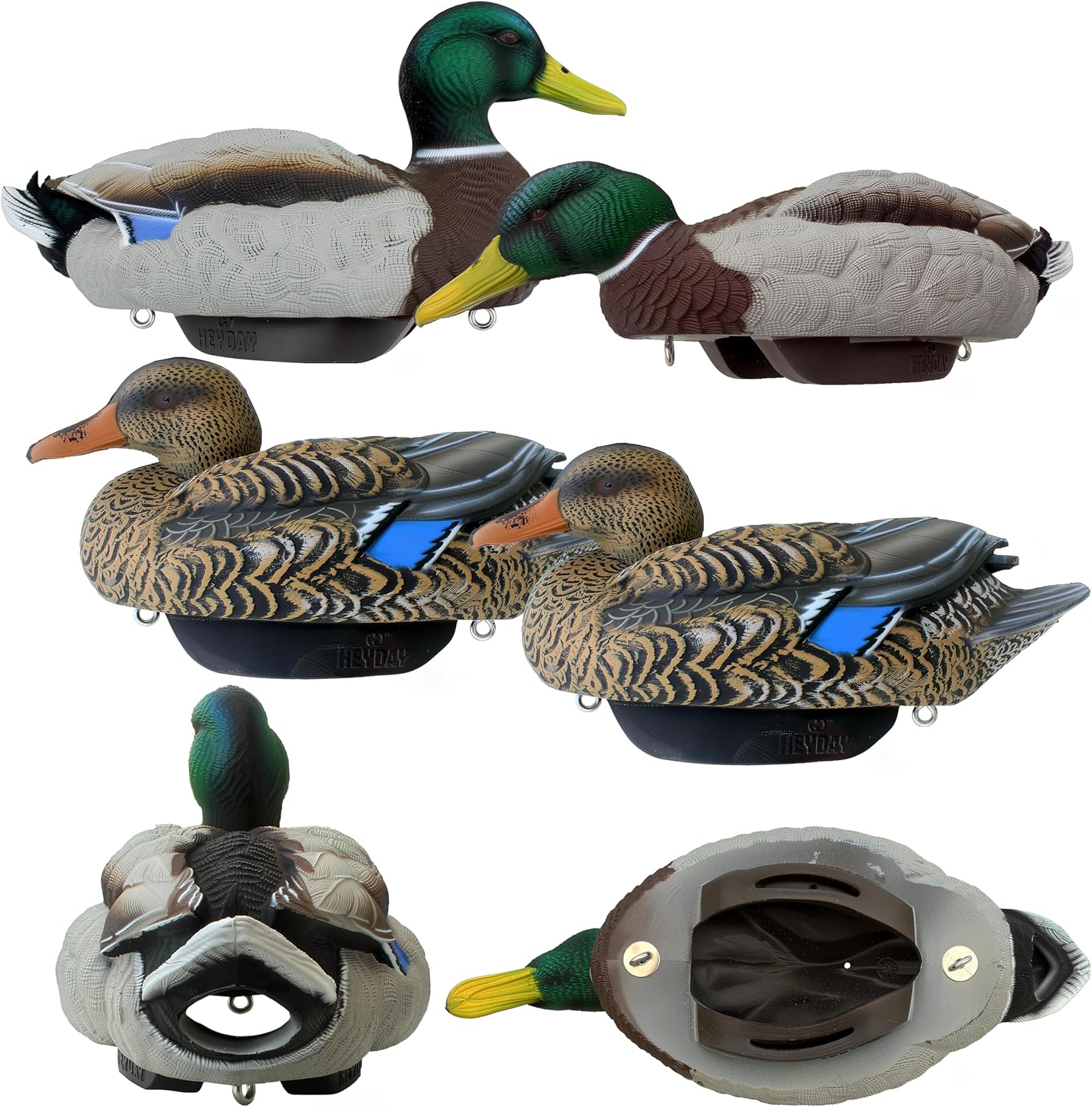 HEYDAY Mallard Position Pack #2 Duck Decoys Ultra-Light 100% HydroFoam | Durable, Realistic Design | 6 Pack of Duck Hunting Decoys