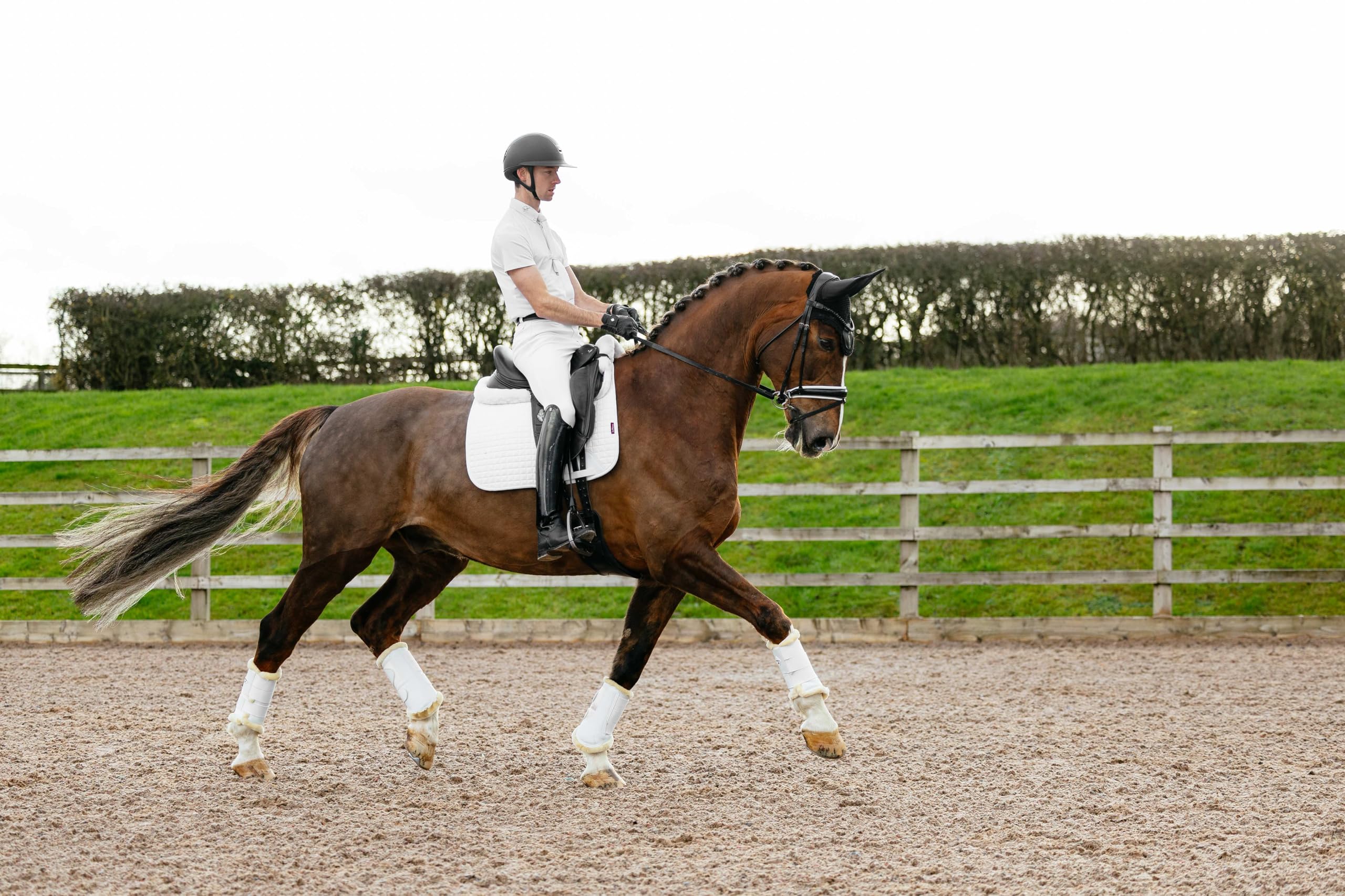 LeMieux Suede Dressage Square - Almohadilla de sillín ecuestre - High Wither