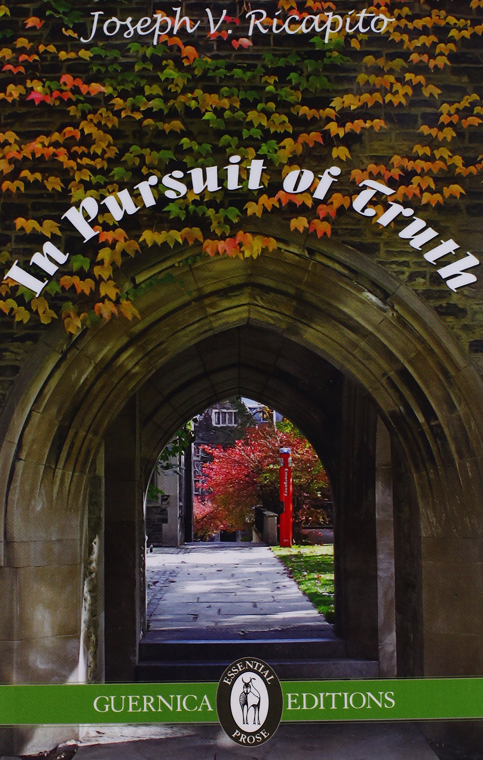 Buy In Pursuit of Truth: Volume 101 (Essential Prose) — BookShops.in