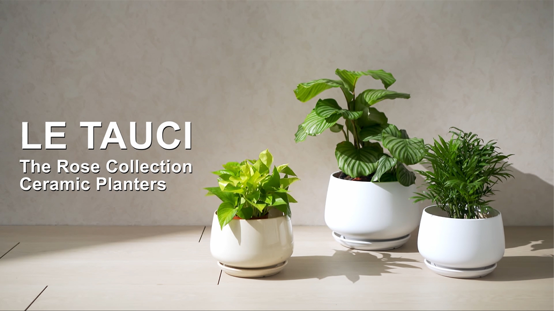 Amazon.com : LE TAUCI Ceramic Plant Pots, Set of 2, 10 + 12