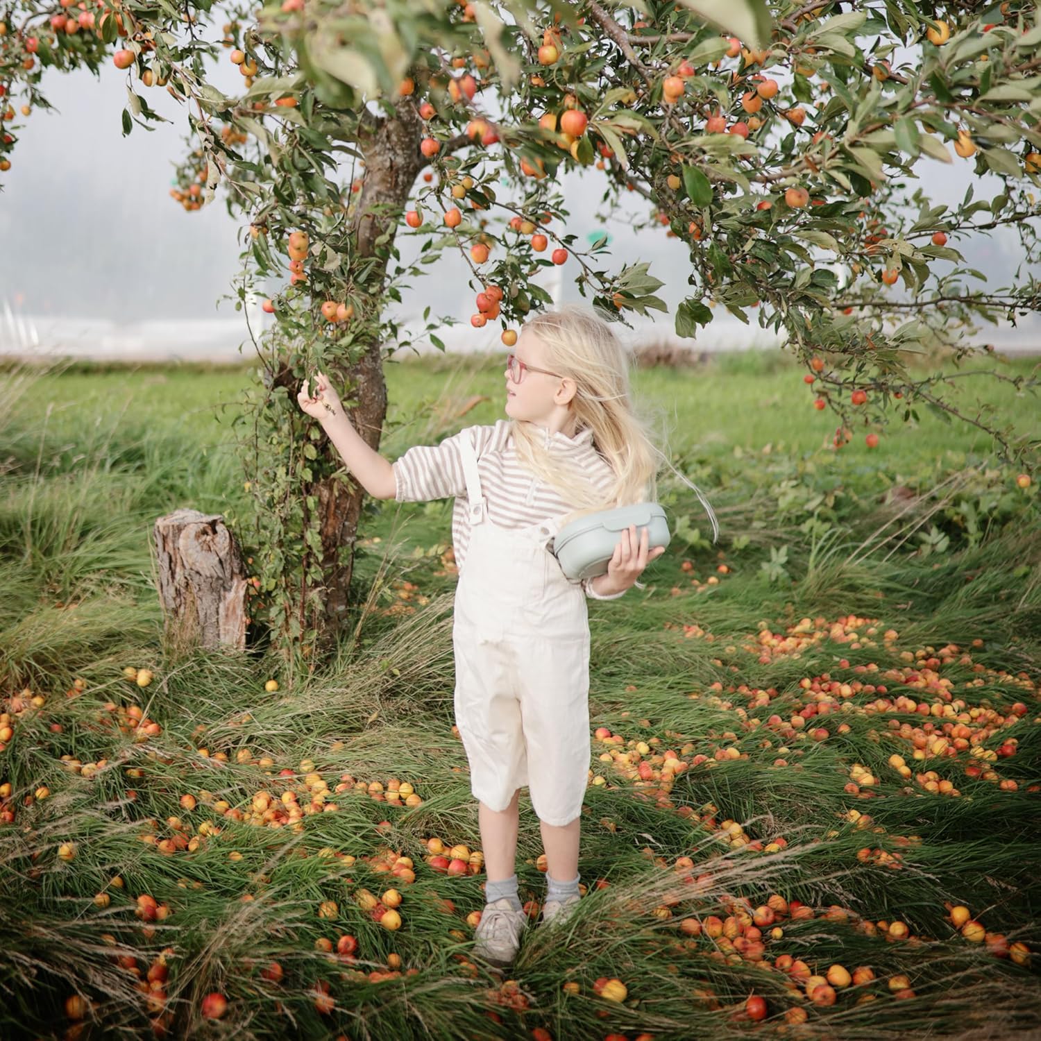 mushie Kids Bento Lunch Box | 3-Compartment & Removable Divider + Fork & Spoon Utensils | Great For Meals, School, Snacks On-the-Go | Dishwasher Safe (Sage) - Image 5