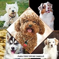 Vista 8 de Wahl USA Champú para mascotas para aliviar la piel seca y la picazón para perros, fórmula de avena con aroma a verbena de coco y lima y fórmula apta