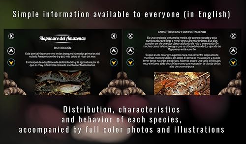 Siva 2D presents Venomous Snakes Venezuela