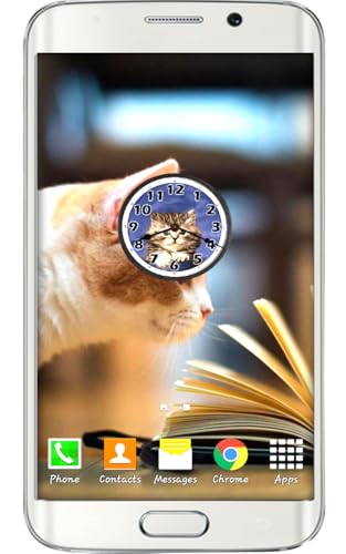 Adoráveis Gatos Tema