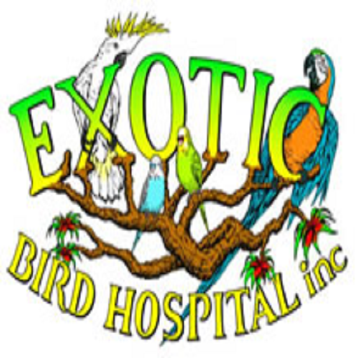 Exotic Bird Hospital App on the Amazon Appstore