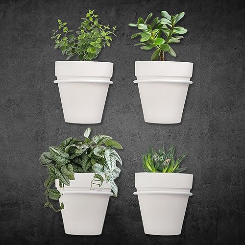 Miniatura 2 de Anillos para macetas montados en la pared con macetas (juego de 8 piezas); soportes para plantas de metal blanco y mini macetas de arcilla