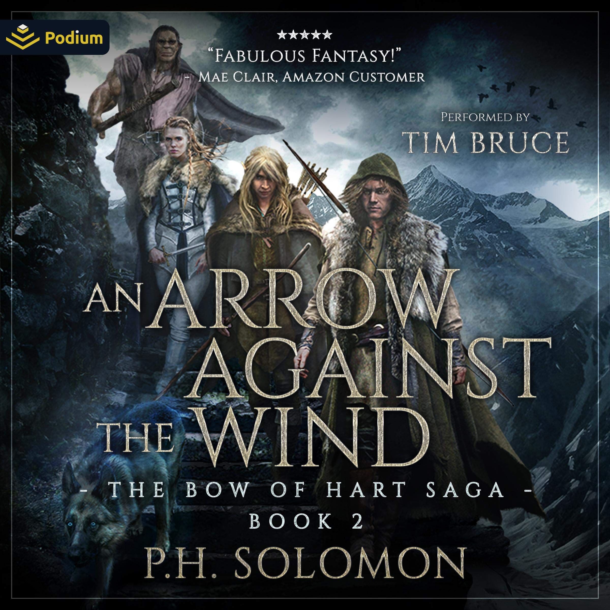 Cover art for An Arrow Against the Wind
