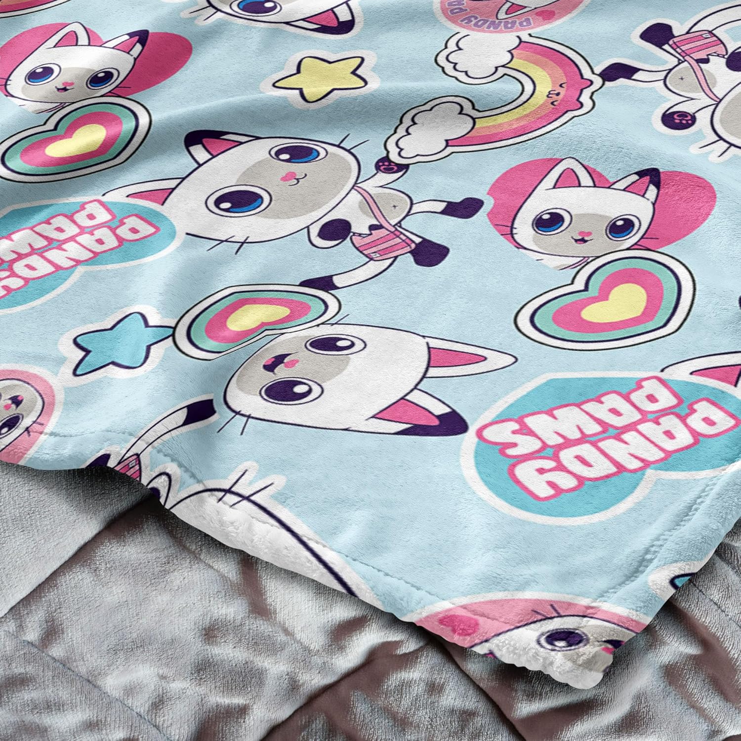 Northwest Universal Gabby's Dollhouse Pandy Paws Silk Touch Throw Blanket, 50x60 inches