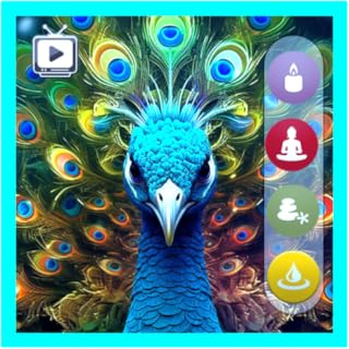 Colorful Beautiful Peacock Screensavers