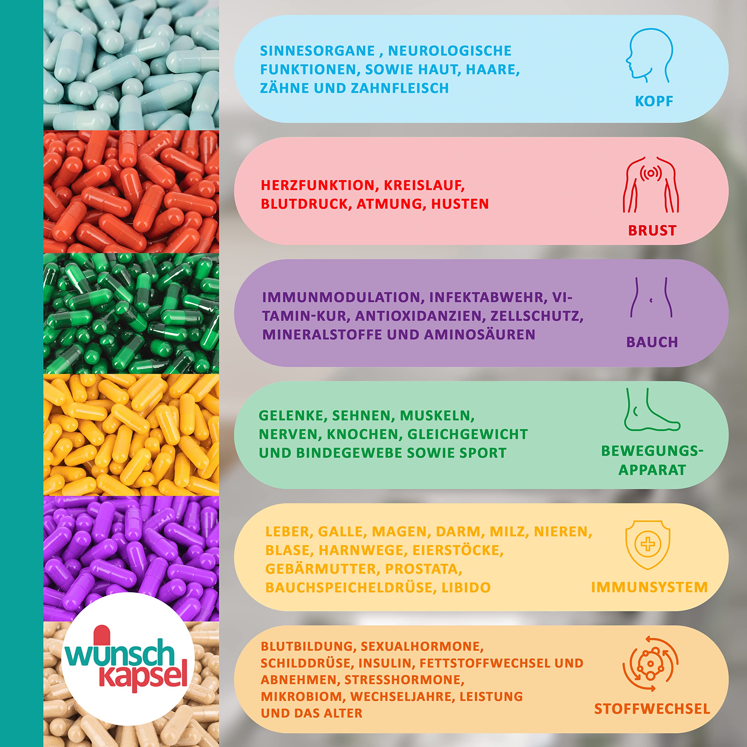 IMMUNMODULATION Premium Ergänzung | für Balance und Kontrolle des Immunsystem | PEA, Astragalus, Reishi, Vitaminen und gute Keime | XL-Reichweite mit 290 Kapseln | deutsche Manufaktur