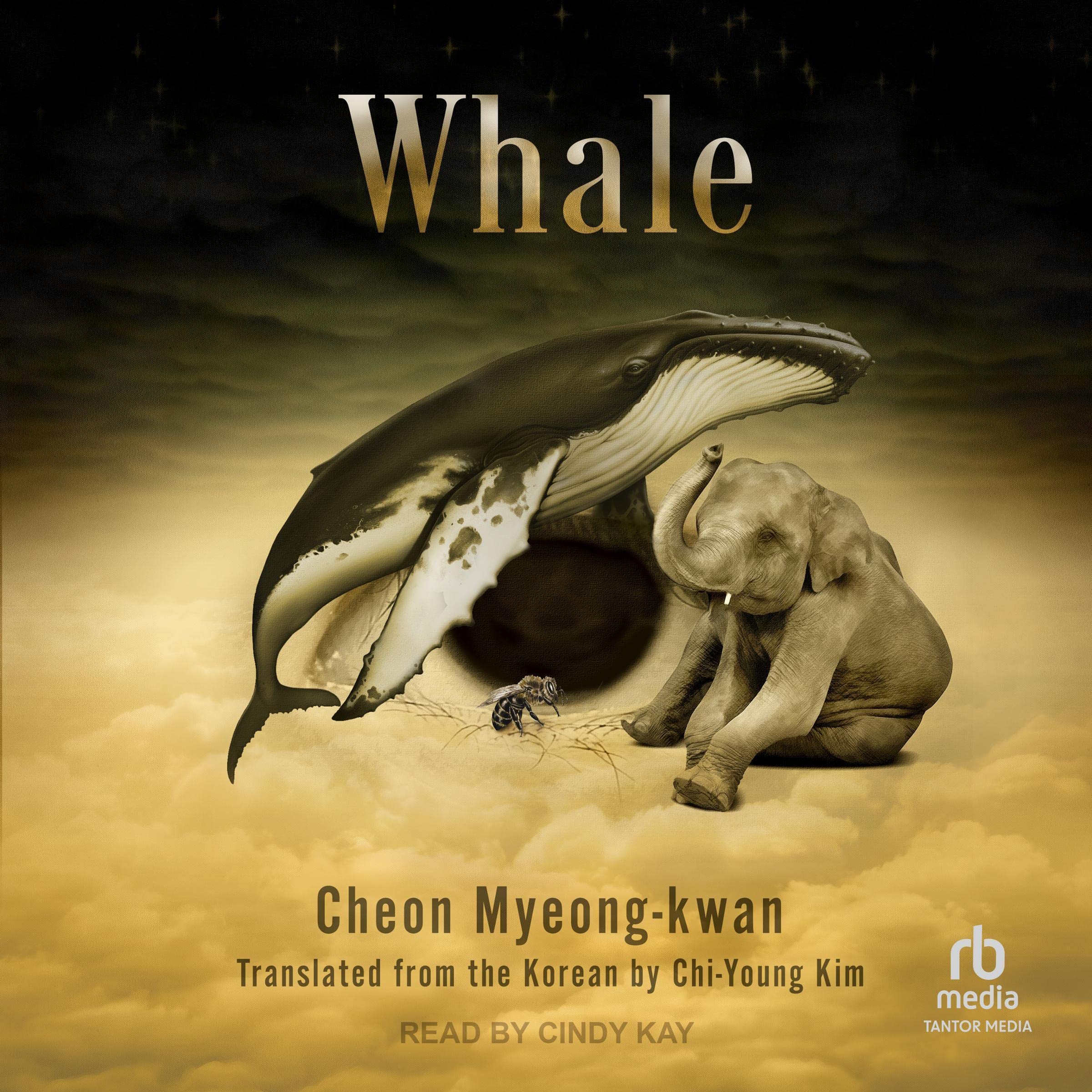 Cover art for Whale