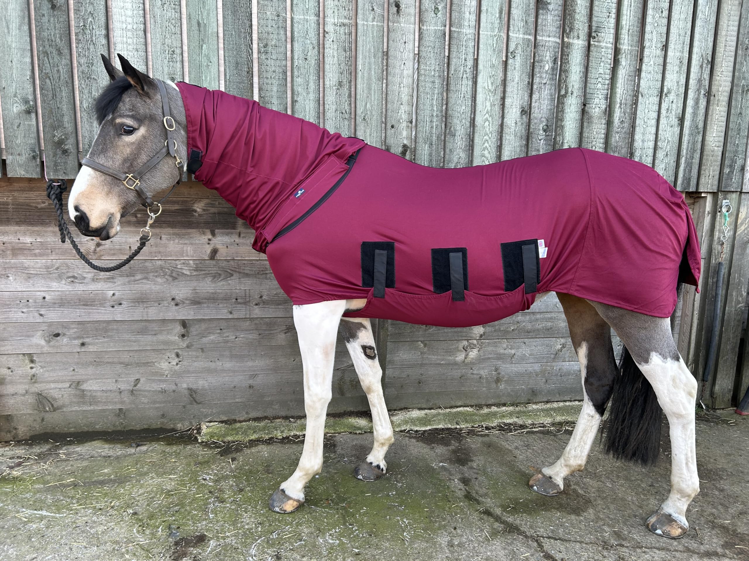 Base Body Rug for Horses and Ponys with Neck