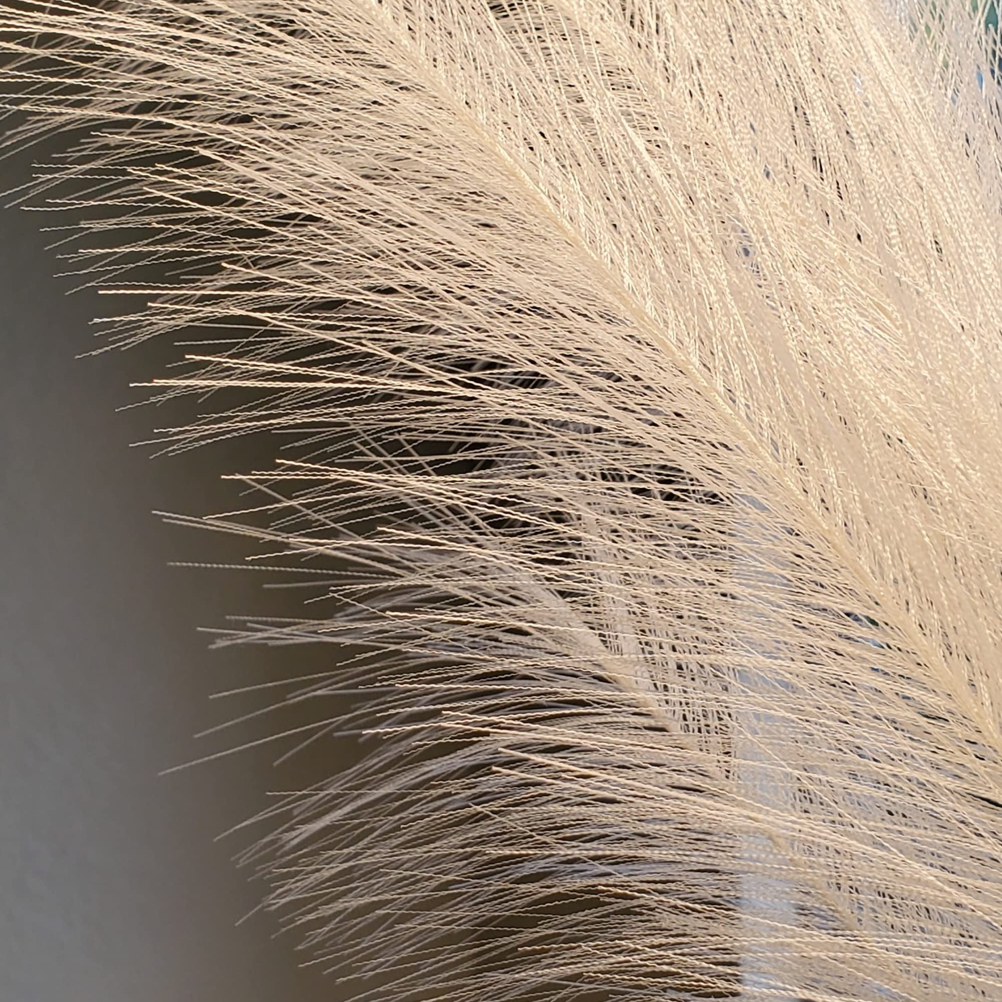 Trendy Home Decor Pampas Grass Decor Tall (3 Pcs 44 inch Natural/Beige Or Pink) Super Fluffy