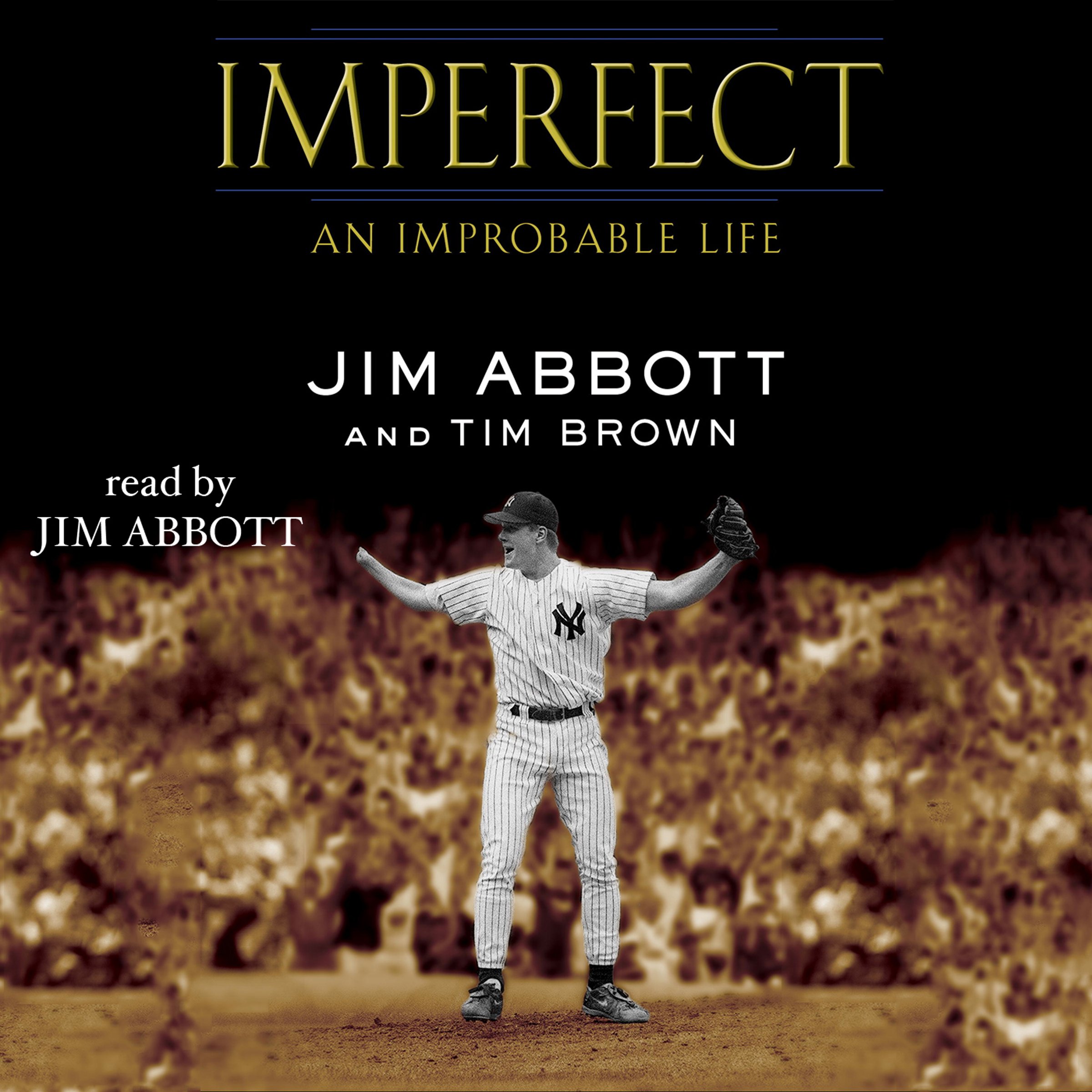 Cover art for Imperfect